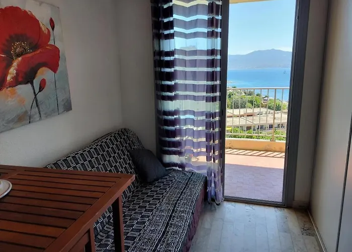 Ajaccio Sanguinaires Appt 3 P Pour 4 A 5 Personnes Ttes Commodites Tt Confort ! A 300M Des Plages Et A 5 Mn Du Centre Ville